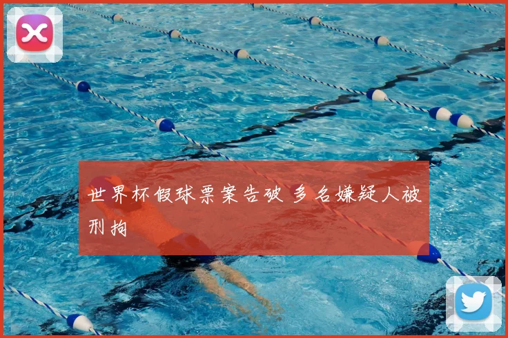 世界杯假球票案告破 多名嫌疑人被刑拘
